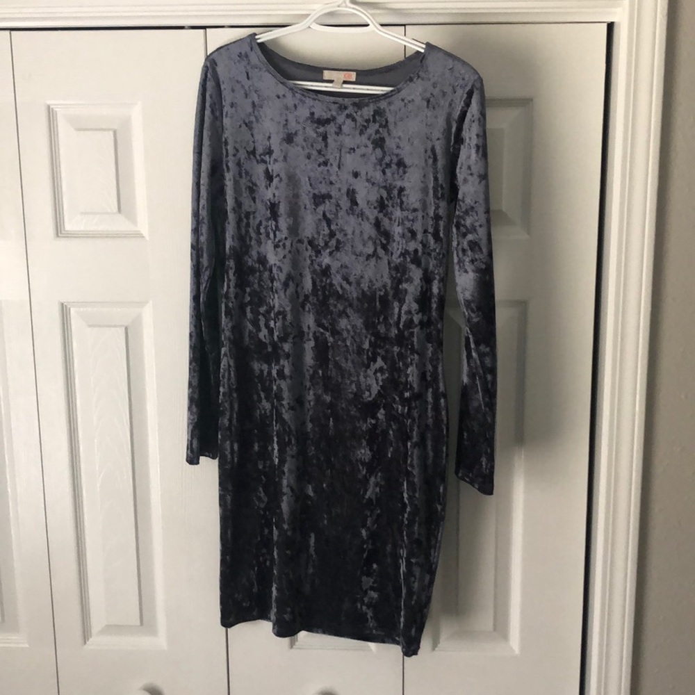 Gianni Bini Velvet Dress!